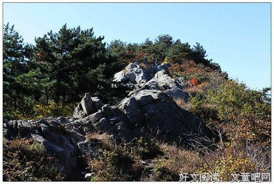 《我大别中的人生》的句子
