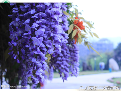 天个昔的优美句子