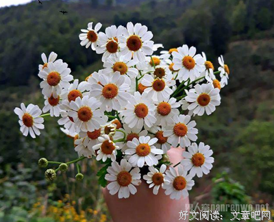 心情不好的时候，可以去做这几件事情