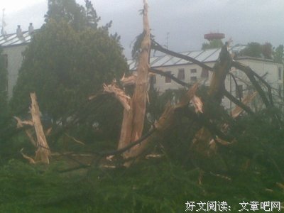 天打雷噼一家子 ！都看下吧！