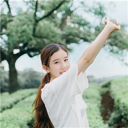 有关木槿昔年的句子