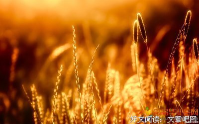 人生会自处不相逢句子