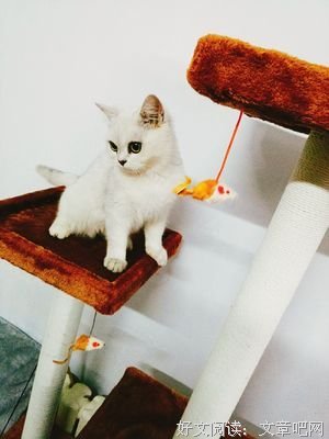 如果不开心可以表达出来