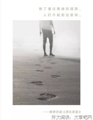 《走出原生家庭的代际创伤》读后感精选