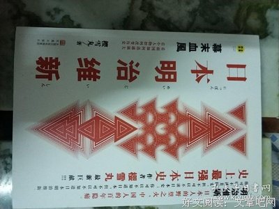 《日本明治维新：幕末血风》读后感1000字