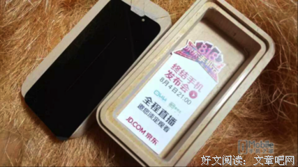 《随性》的句子