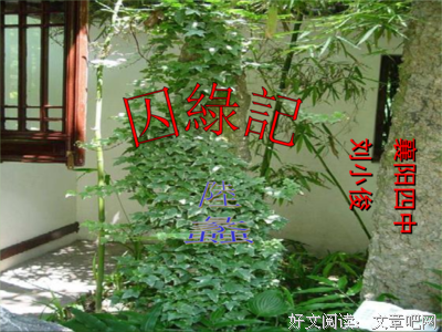 我喜欢的句子