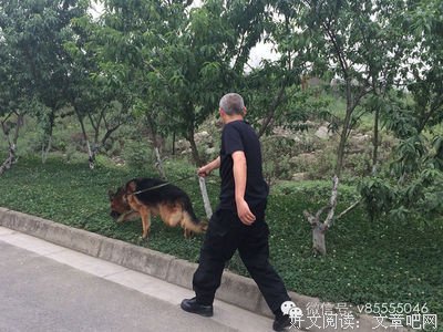 《逃跑的女人》经典影评集