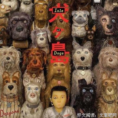 《犬之岛》观后感精选