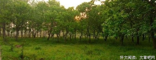 《散落星河的到便忆》语录摘抄