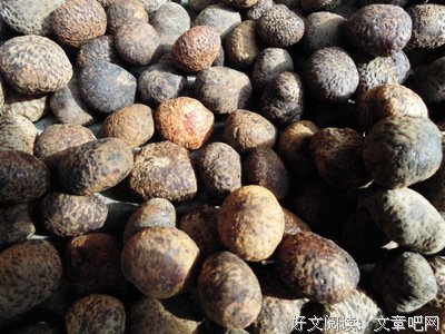 《藤子》好看吗？经典影评锦集