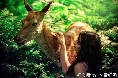 关于我喜欢的优美句子