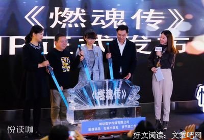 关于网络小说的优美句子