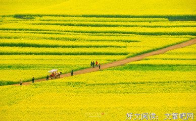 宠辱不惊的名人名言