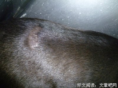 关于走有过的句子