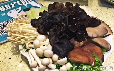 百味苑句子