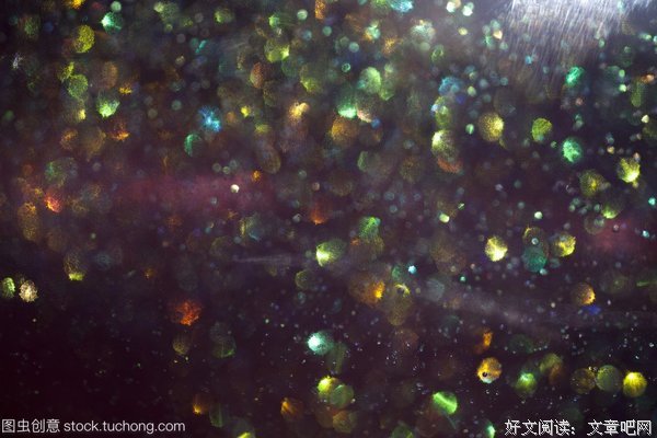 心若尘埃，却向天空的优美句子