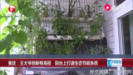《心碎的感觉》观后感摘抄