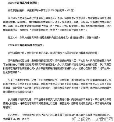 那篇大家都看不懂的高考满分作文。