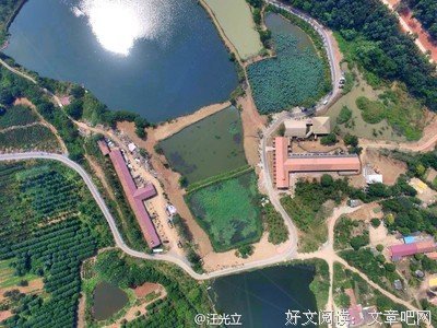 最全的《我与戛纳》语录摘抄大全