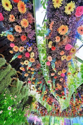 《贝拉的奇幻花园》经典影评1000字