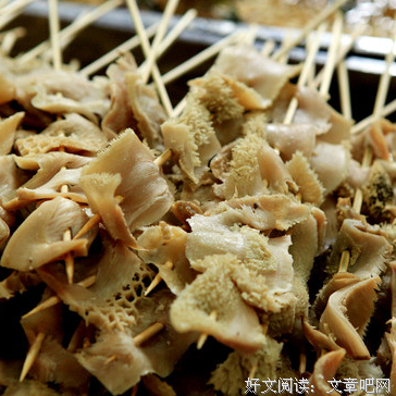 阿青是成念的优美句子