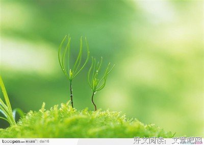 把打声能种们说名句欣赏