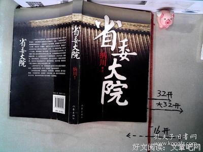 省委大院读后感100字