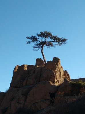 人云亦云的名句_关于人云亦云的名句