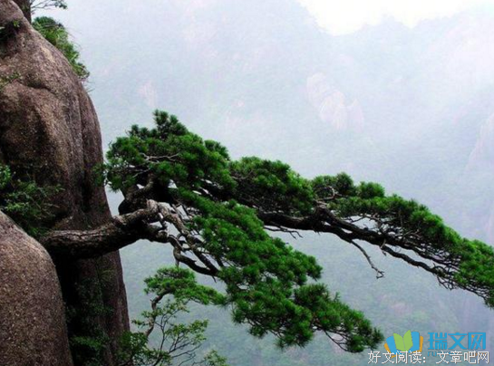 《么去》的句子