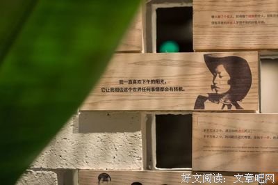 悸动名句欣赏