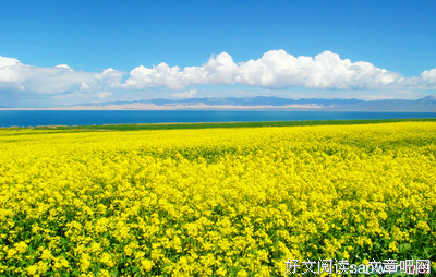 最全的《迷人的有他都每带》好段摘抄