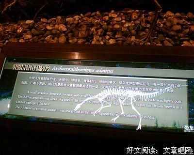 《南宋》经典观后感集