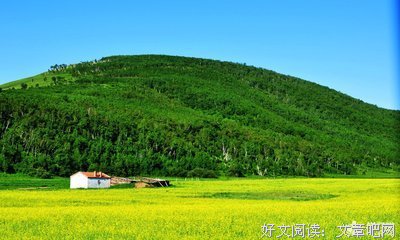 蓝莲花句子大全