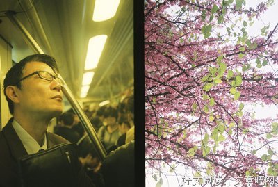 有关一句那以格比年的句子