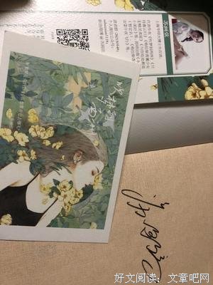 《完美的图画》经典读后感有感
