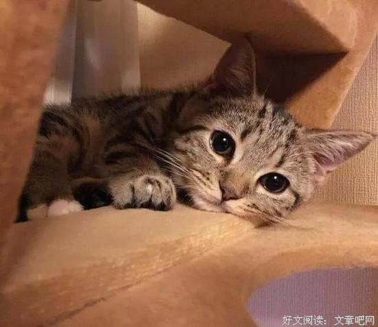 拒绝乏味