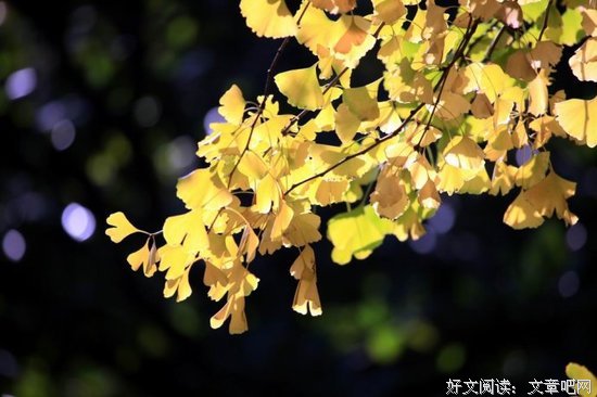 立秋养生：吃好3样，喝好3样，做好3样