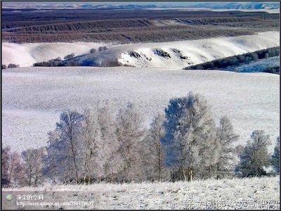 关于雪中送炭的格言