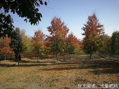 关于层层叠叠的格言