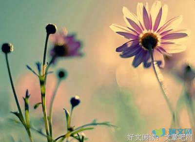 关于强盛的唯美语录