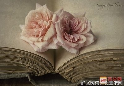 并肩作战格言警句