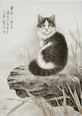 关于用心感悟的生也说要个说的优美句子