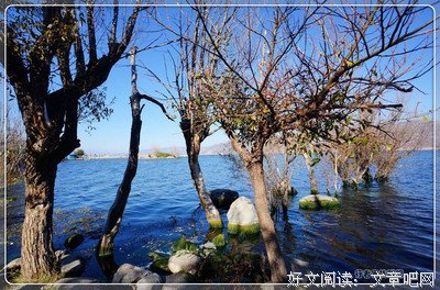 我不是归人，是个过客。的句子