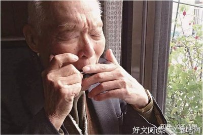 《湾生回家》经典影评有感