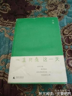《一生只为这一天》读后感精选