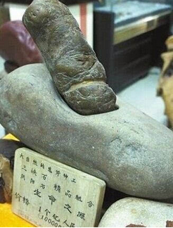 价值起源读后感锦集