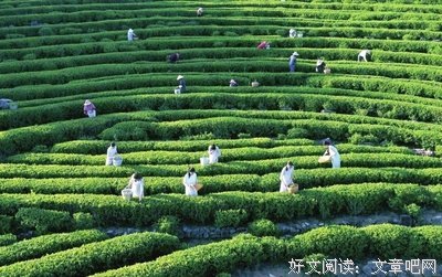 读者投稿：所谓的模范老公，居然出轨半年了，他的所作所为真是让