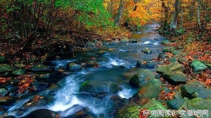 最新的《花瓶专业户》小说句子大全