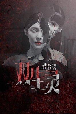 《双生灵》观后感摘抄